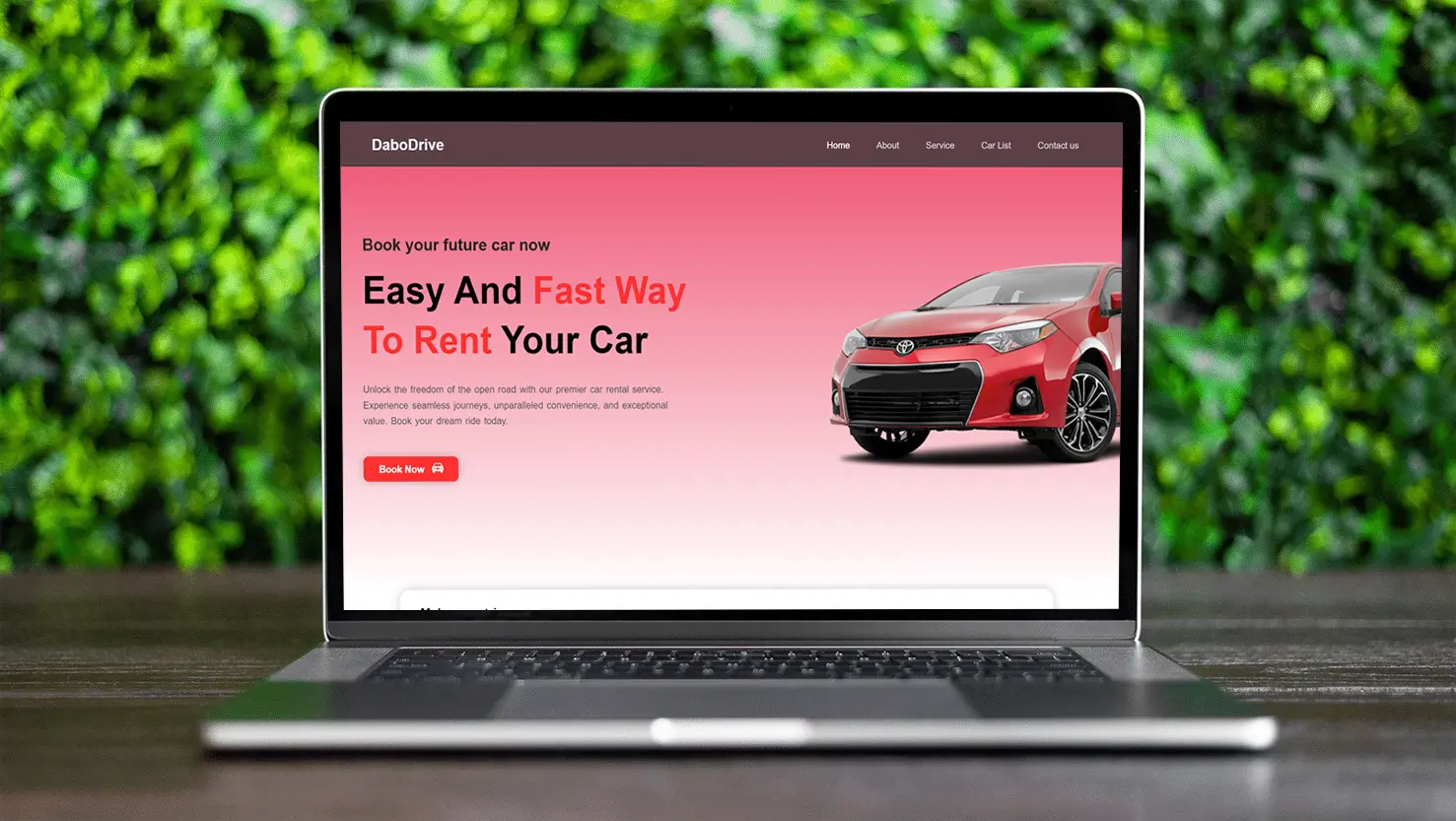 Car Rental Website